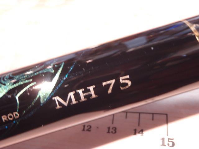 がま鮎ﾀﾞﾝｼﾝｸﾞﾏｽﾀｰ MH75