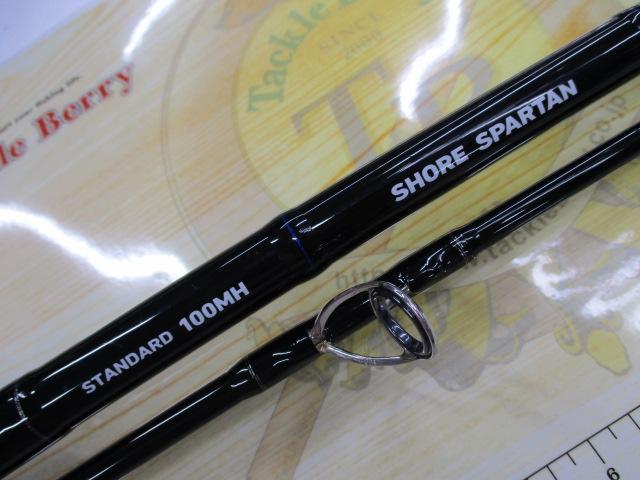 ダイワ ショアスパルタン スタンダード100MH（本格的な