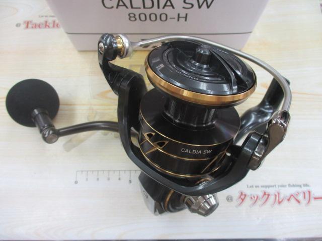 22ｶﾙﾃﾞｨｱSW 8000-H