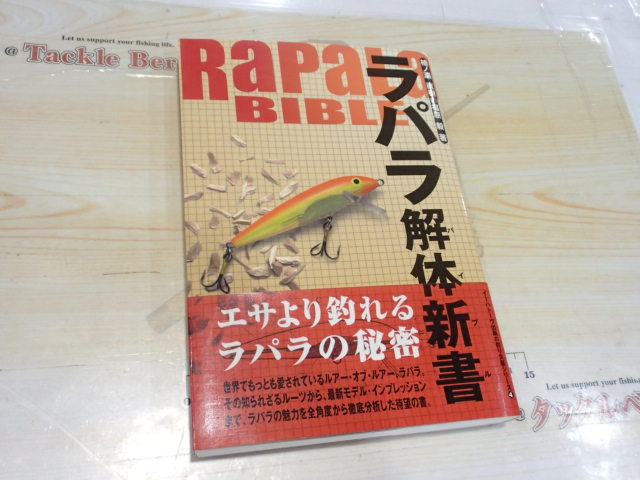 ﾗﾊﾟﾗ解体新書