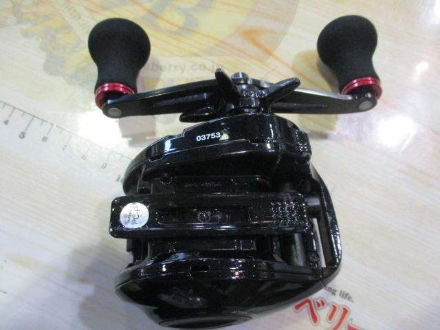 17炎月CT 100HG