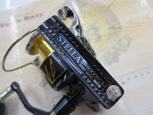 13ｽﾃﾗSW 6000PG
