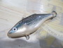 【ｾｯﾄ商品】ﾗﾊﾟﾗ　ﾗﾄﾘﾝ　4点ｾｯﾄ