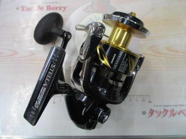 19ｽﾃﾗSW 10000PG