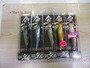 【ｾｯﾄ商品】⑦魚邪3.5号　ｾｯﾄ