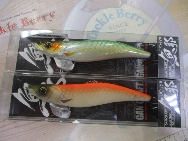【ｾｯﾄ商品】⑧魚邪3.5号　ｾｯﾄ