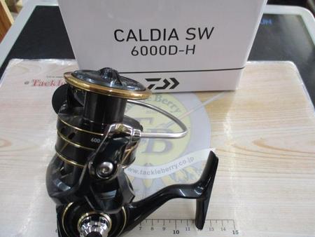 22カルディアSW 6000D-H