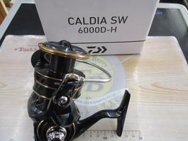 22ｶﾙﾃﾞｨｱSW 6000D-H