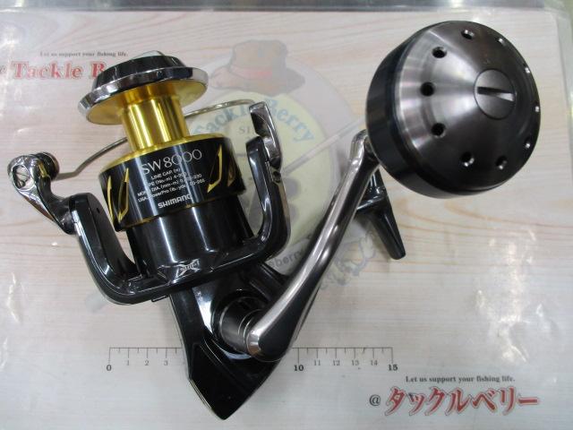 13ｽﾃﾗSW 8000HG