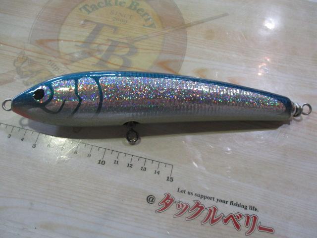 ﾌﾞﾙｰﾌｨｯｼｭ100