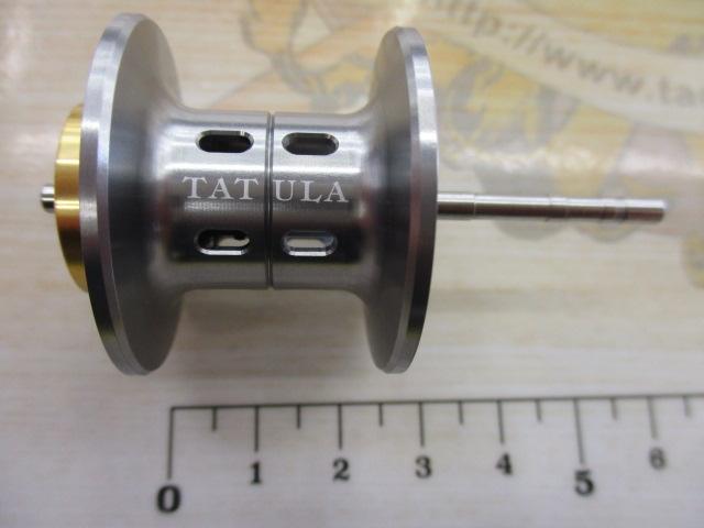 ﾀﾄｩｰﾗ 100ﾅﾛｰｽﾌﾟｰﾙ ｼﾙﾊﾞｰ