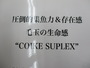 【ｾｯﾄ商品】ｺｲｹ　2個ｾｯﾄ