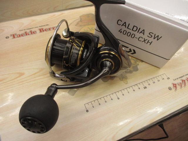 22ｶﾙﾃﾞｨｱSW 4000-CXH