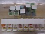 【ｾｯﾄ商品】ﾄｯﾌﾟｳｫｰﾀｰｾｯﾄ(ﾄﾗｳﾄ)
