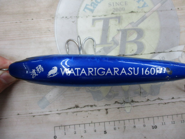 ﾜﾀﾘｶﾞﾗｽ160Fﾄﾋﾞｳｵ