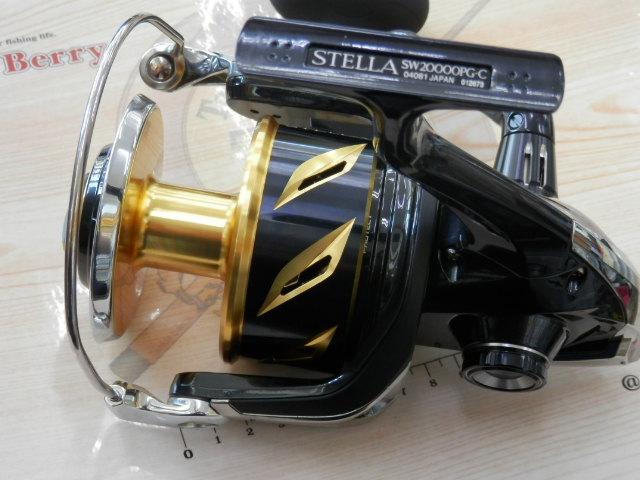 20ｽﾃﾗSW 20000PG