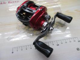 ｴｱﾄﾞﾚｯﾄﾞﾁｭｰﾝ 100L