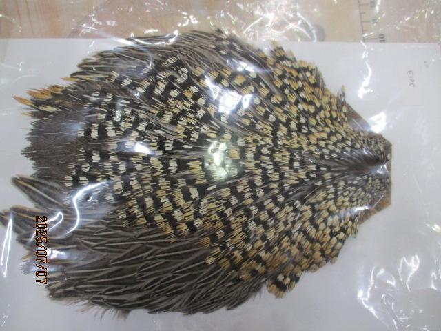ｼﾞｬﾝｸﾞﾙｺｯｸ