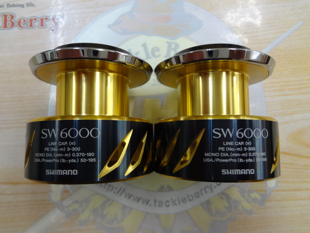 【ｾｯﾄ商品】ｼﾏﾉ13ｽﾃﾗSW6000ｽﾌﾟｰﾙｾｯﾄ