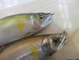【ｾｯﾄ商品】ｼﾞｮｲﾝﾃｯﾄﾞｸﾛｰ4点ｾｯﾄ