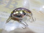 【ｾｯﾄ商品】ﾊﾞｽﾊﾝﾀｰ　3点ｾｯﾄ