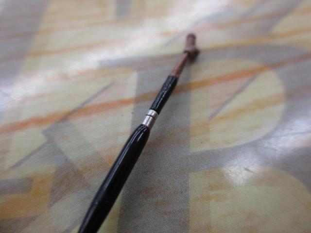 月光 11