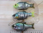 【ｾｯﾄ商品】ｶﾞﾝｸﾗﾌﾄSｿﾝｸﾞ3点ｾｯﾄ