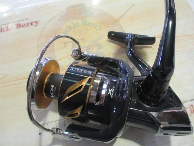 19ｽﾃﾗSW 8000HG