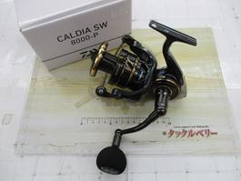 新古22ｶﾙﾃﾞｨｱSW8000-P