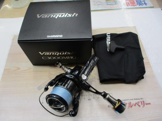 19ｳﾞｧﾝｷｯｼｭ C3000MHG