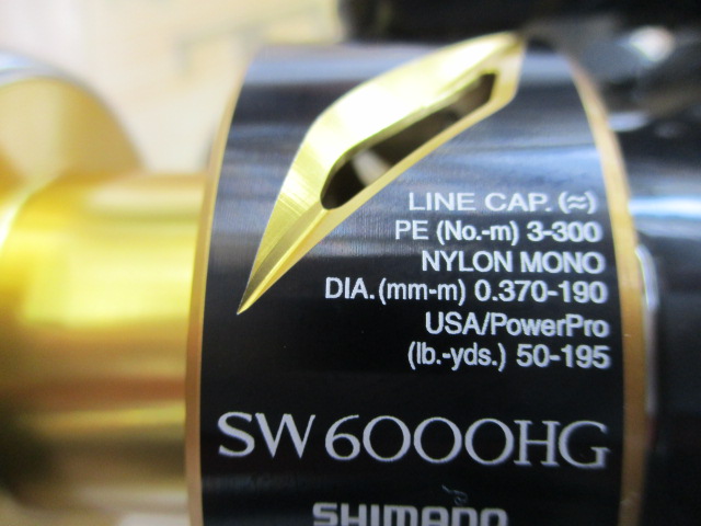 20ｽﾃﾗSW 6000HG