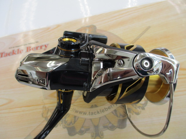 20ｽﾃﾗSW 6000HG