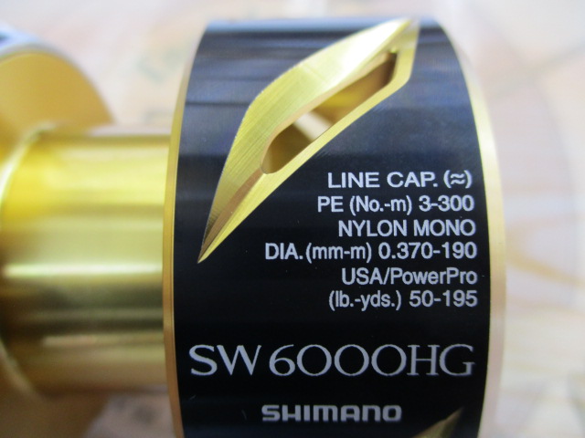 20ｽﾃﾗSW6000HGｽﾌﾟｰﾙ