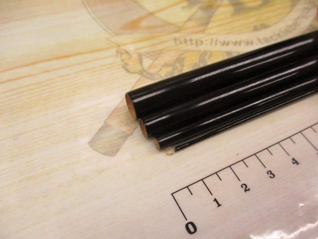 無真魚心観10.1