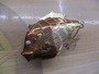【ｾｯﾄ商品】ｸﾞﾗﾝﾀﾞｰﾙｱｰｾｯﾄ