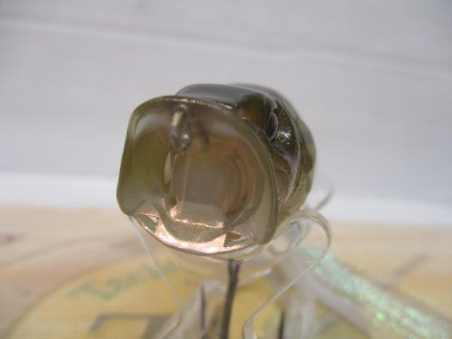 POP MAX