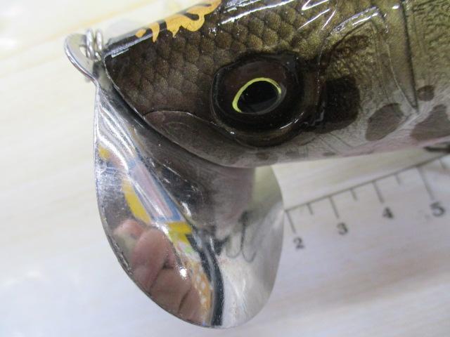 ﾊﾞﾄﾙｳｨﾝｸﾞ