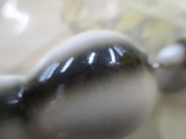 ｼﾞﾀﾊﾞﾀｱﾗｲ君
