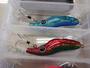 ちょんちょん50魚種ﾁｬﾚﾝｼﾞｾｯﾄ
