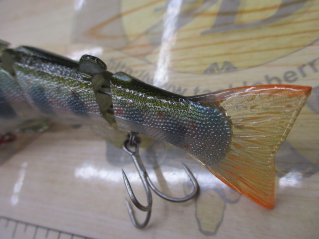 ﾗｯｷｰｸﾗﾌﾄ　あまご　♀　SP　ｼﾞｮｲﾝﾄﾍﾞｲﾄ