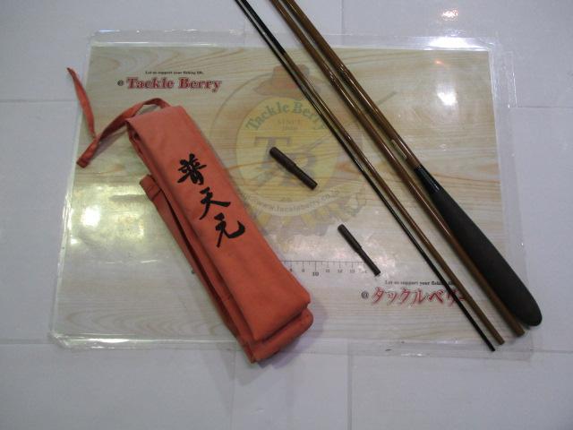 普天元 10