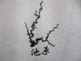【ｾｯﾄ商品】ﾎﾜｲﾄﾘﾊﾞｰTｼｬﾂｾｯﾄ