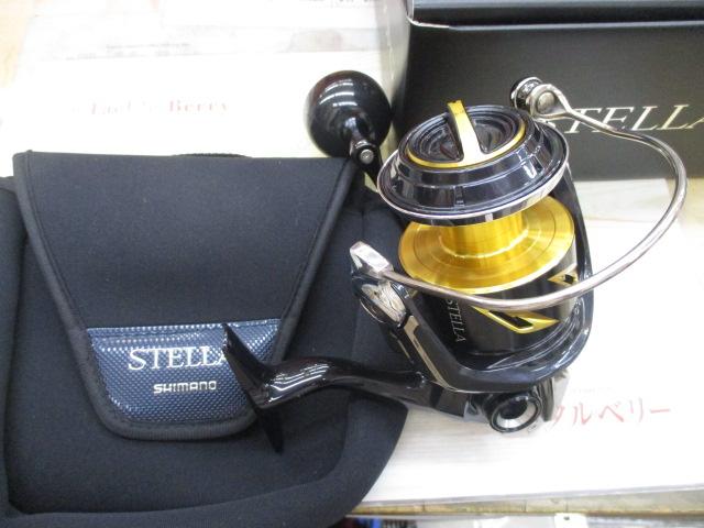 19ｽﾃﾗSW 8000PG