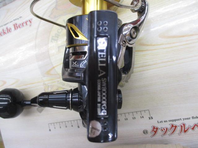 19ｽﾃﾗSW 8000PG