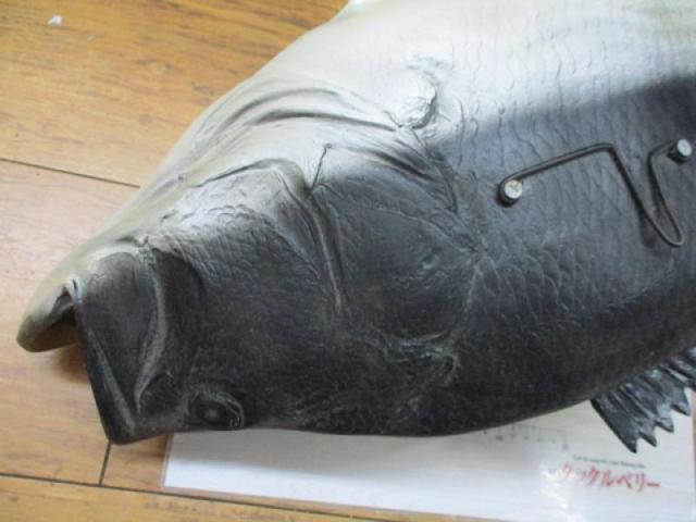 ﾌﾞﾗｯｸﾊﾞｽｵｰﾙﾄﾞ