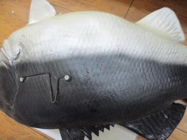 ﾌﾞﾗｯｸﾊﾞｽｵｰﾙﾄﾞ