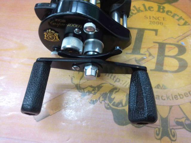 キャスプロ4000V