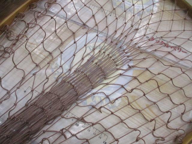 ﾁｪﾘｰﾈｯﾄｻｸﾗ(L)