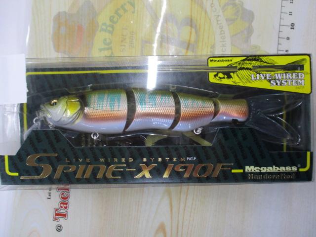 スパイン-X190F和銀オイカワ