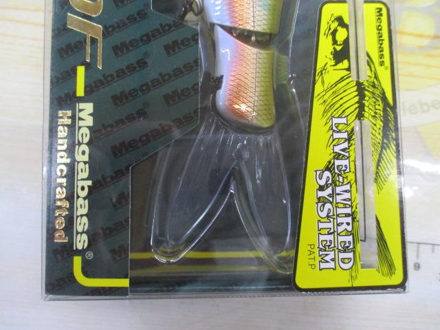 スパイン-X190F和銀オイカワ